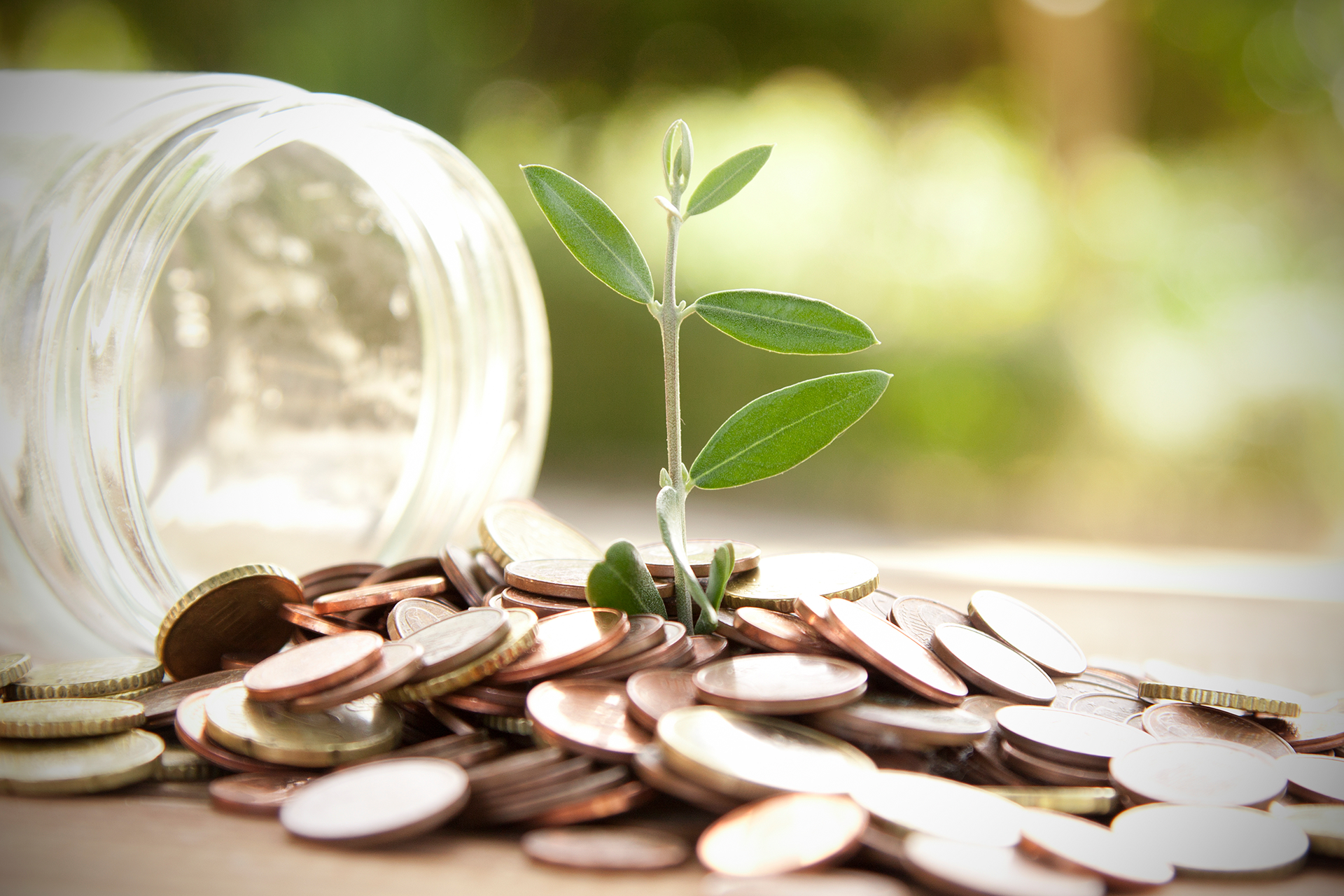 person putting coins in a piggy bank